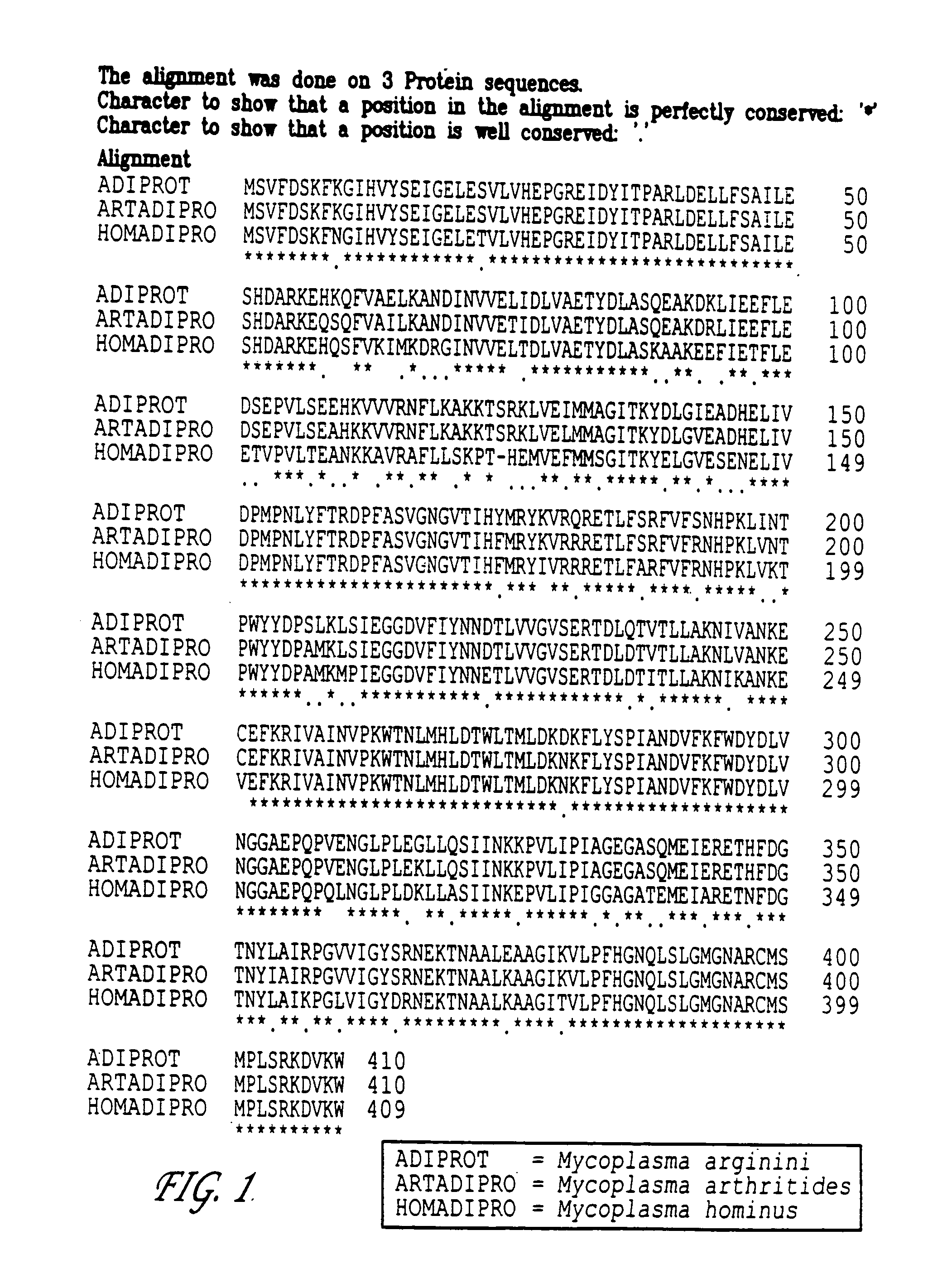 Modified arginine deiminase