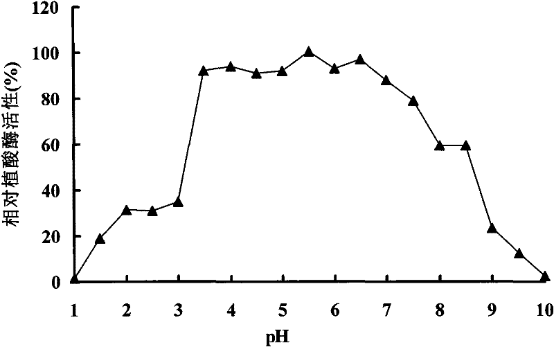 Low-temperature neutral histidine phytase APPA206, and gene and application thereof