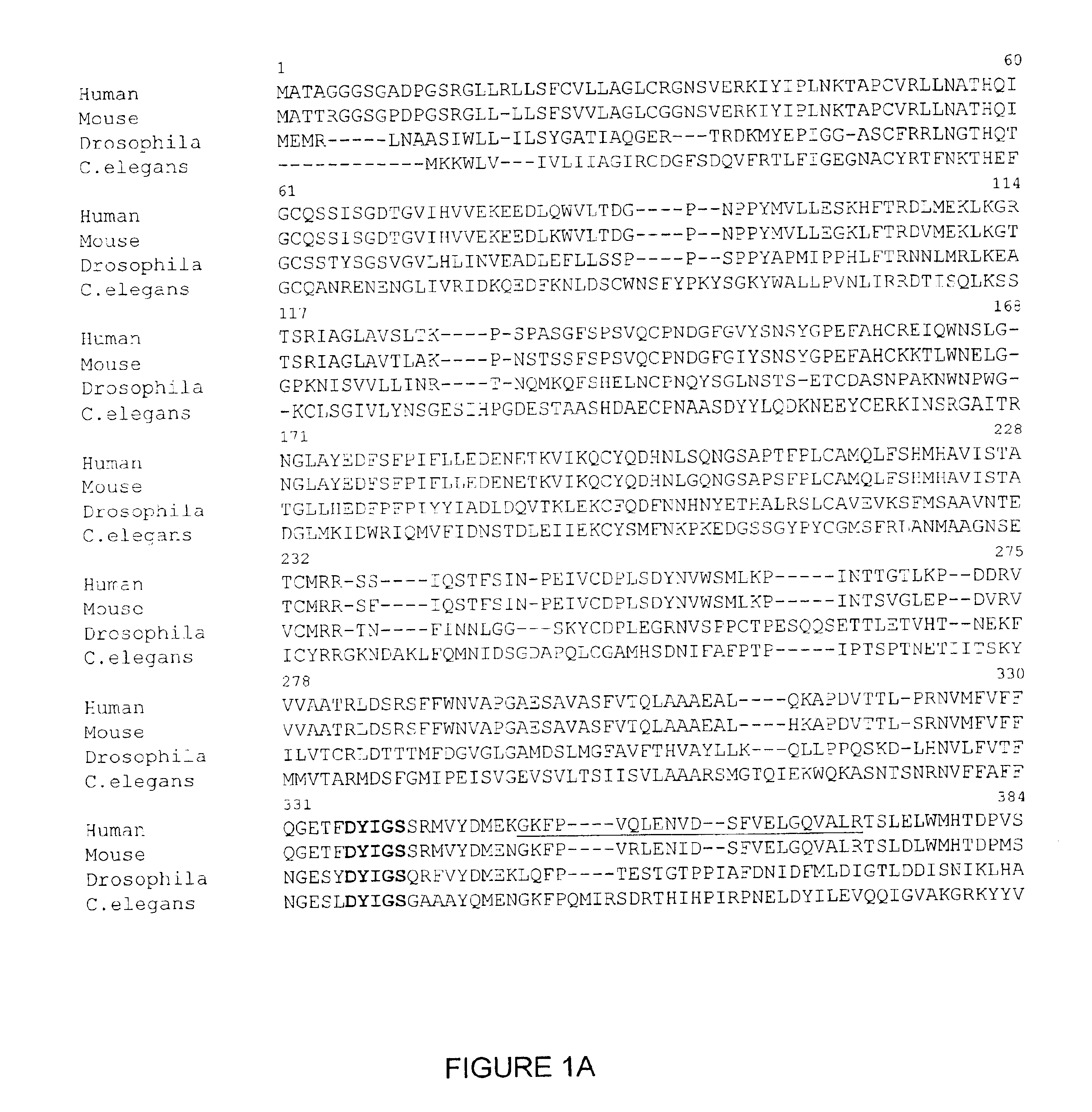 Proteins related to schizophrenia and uses thereof