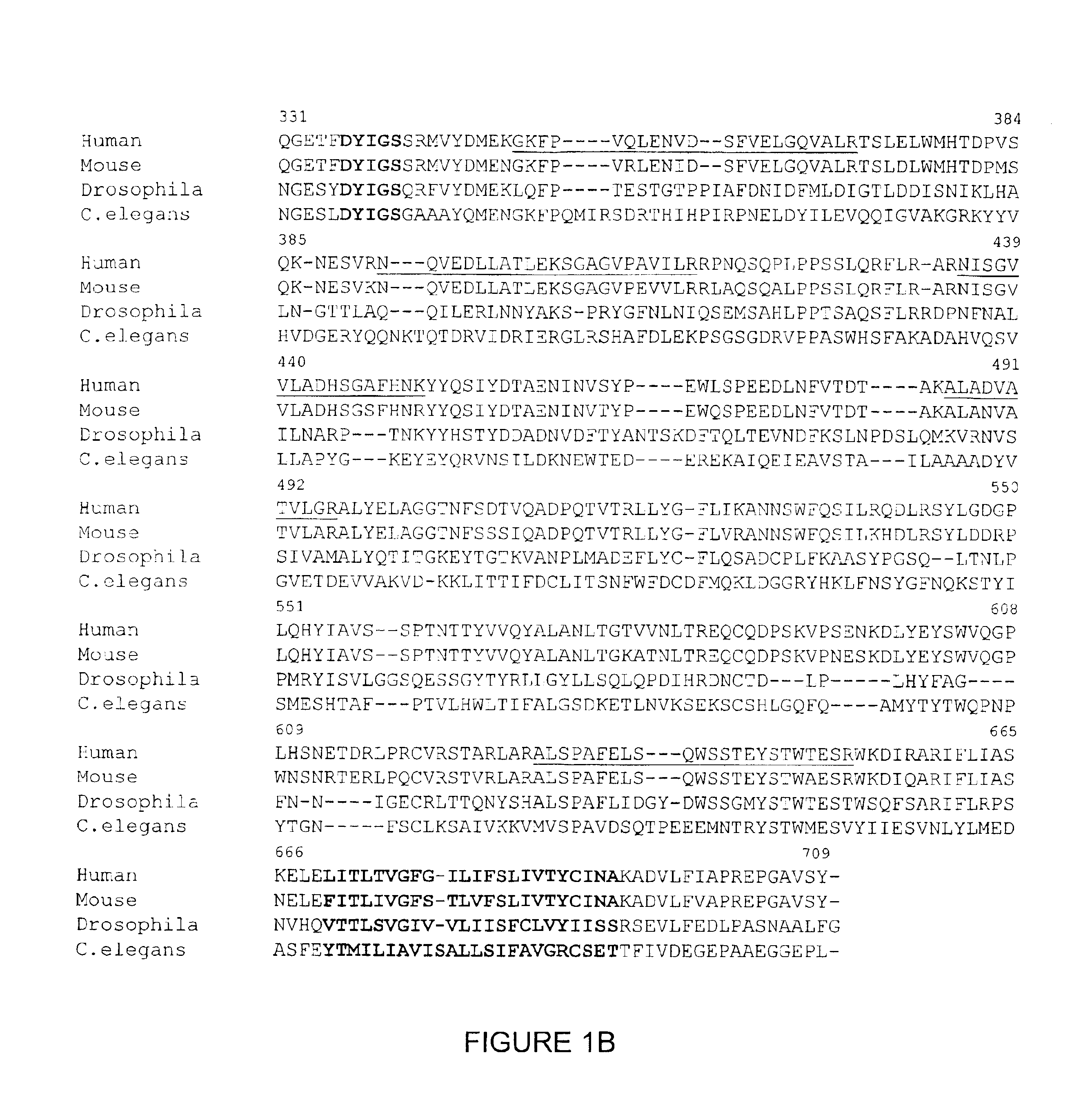 Proteins related to schizophrenia and uses thereof