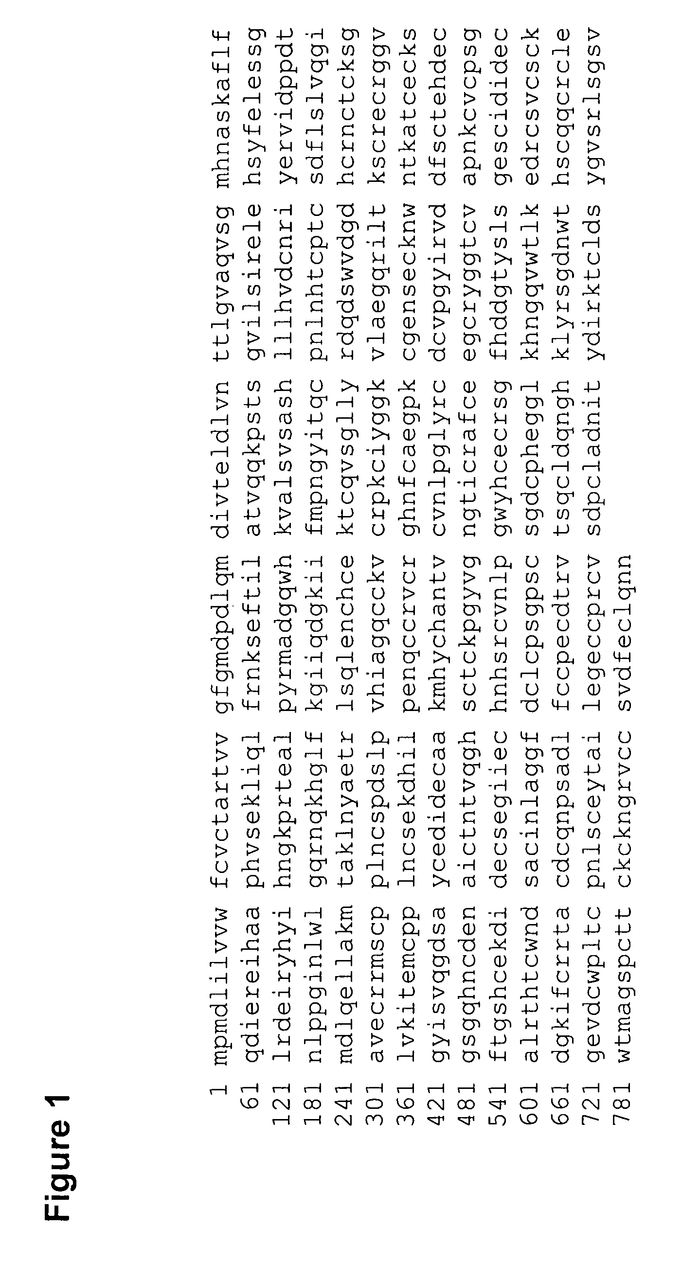 Methods for promoting wound healing and muscle regeneration with the cell signaling protein Nell1