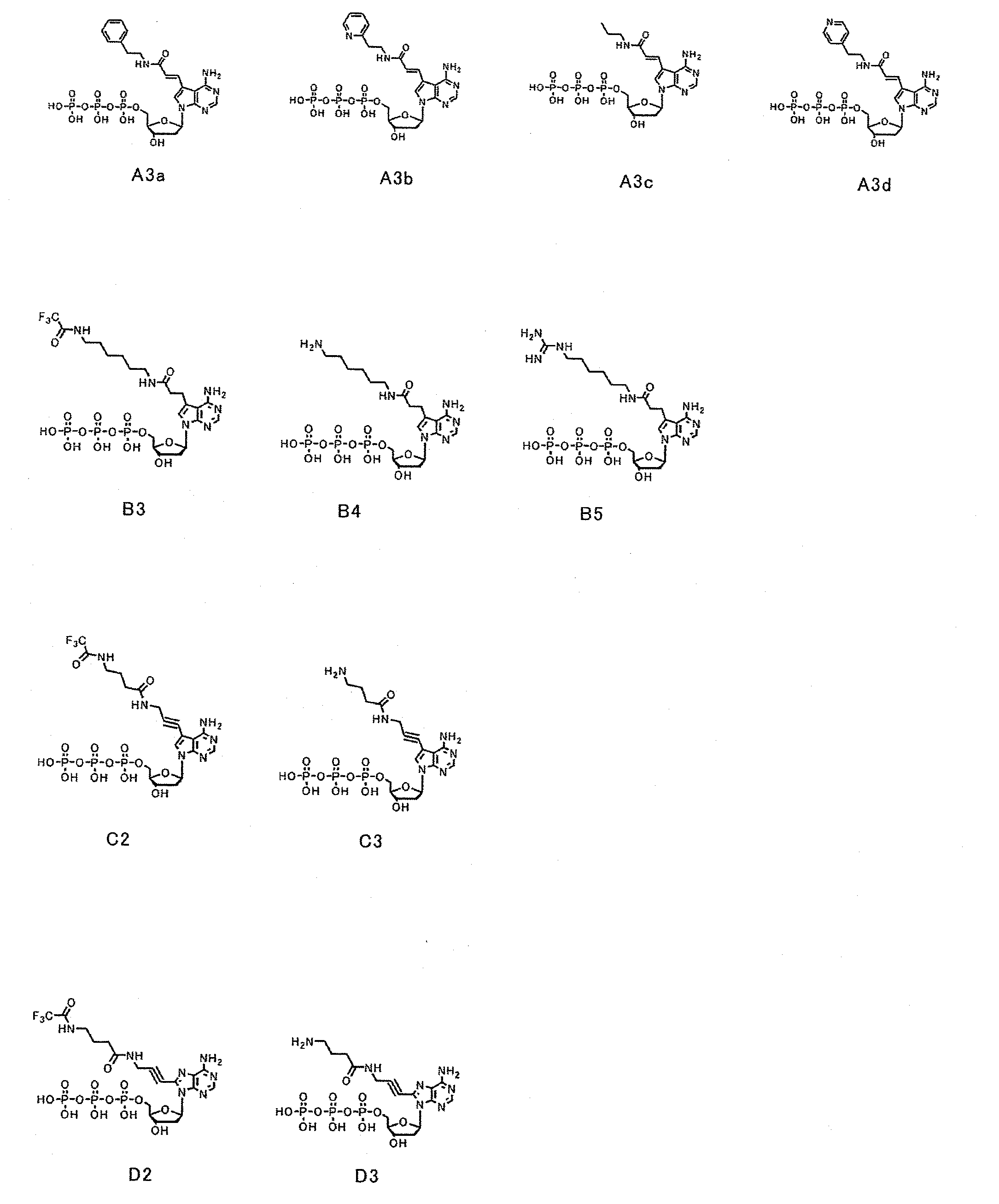 Method and reagent for gene sequence analysis