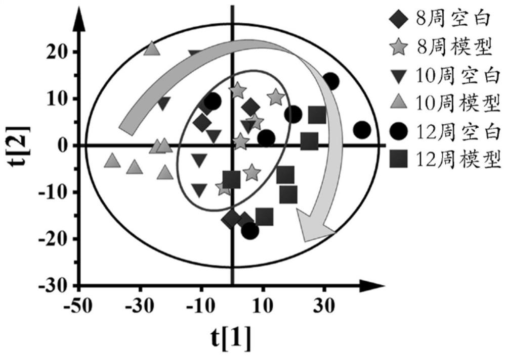 Construction and evaluation method of a rat model of early liver cancer