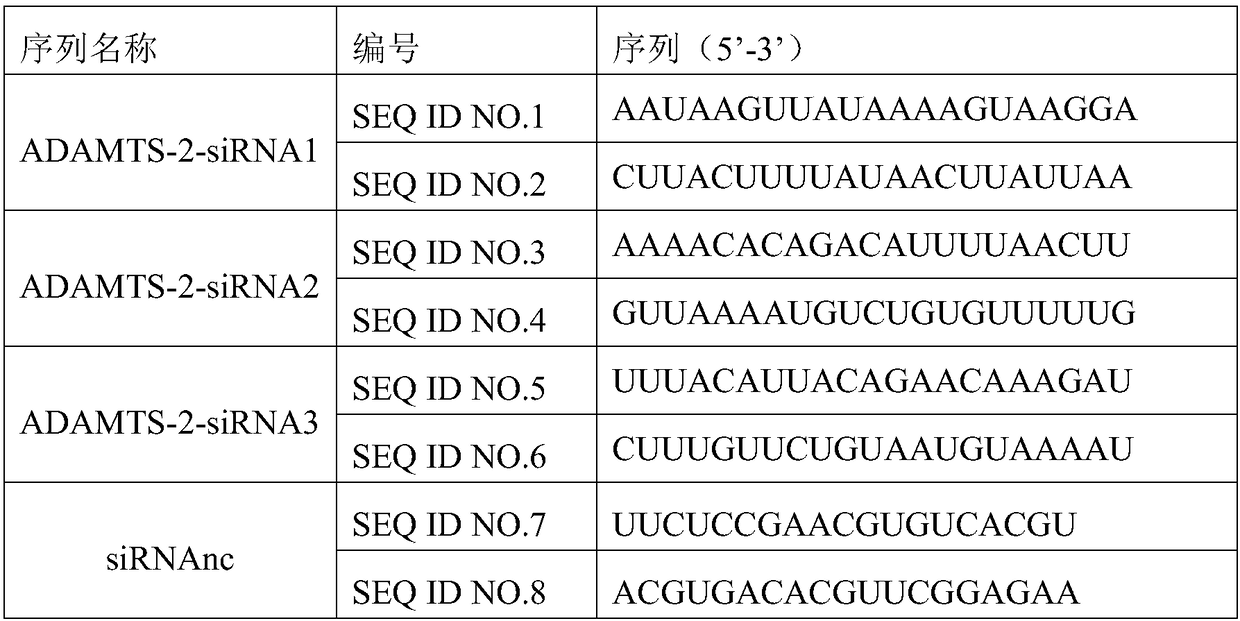 Application of adamts-2 gene and its expression product in diagnosis and treatment of gastric cancer