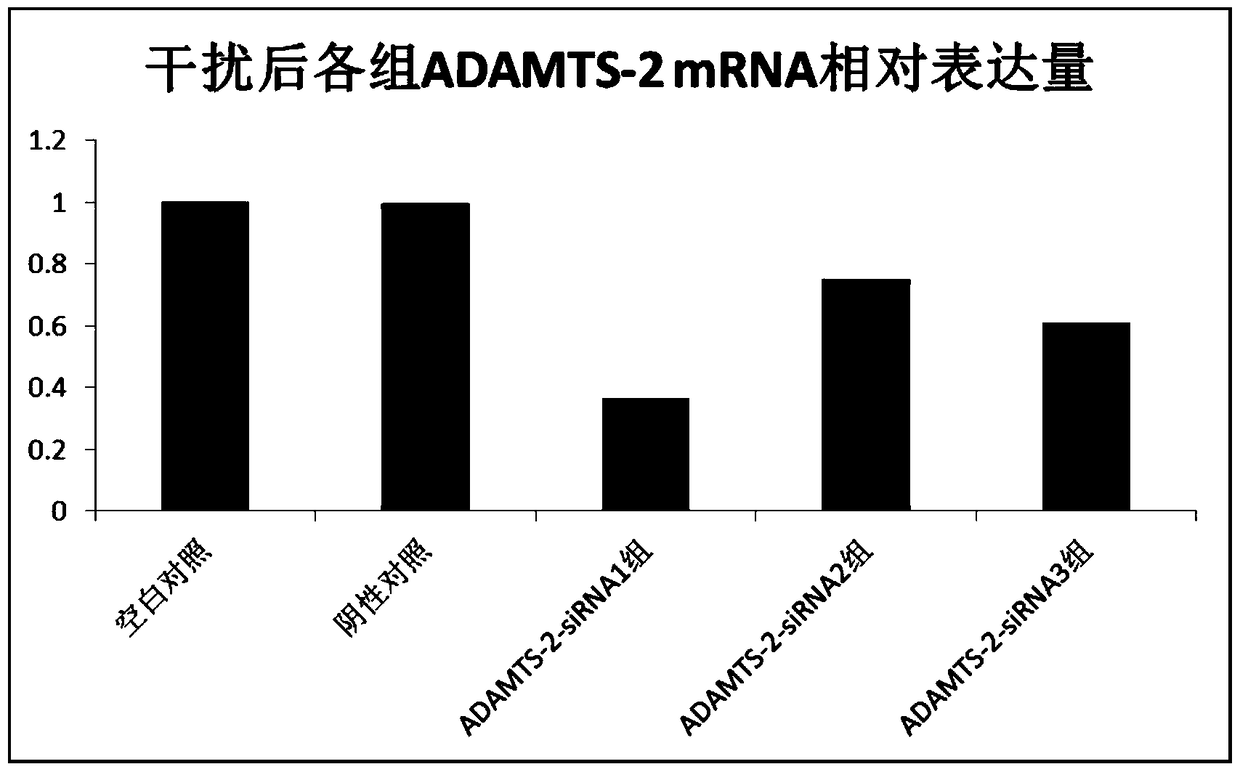 Application of adamts-2 gene and its expression product in diagnosis and treatment of gastric cancer