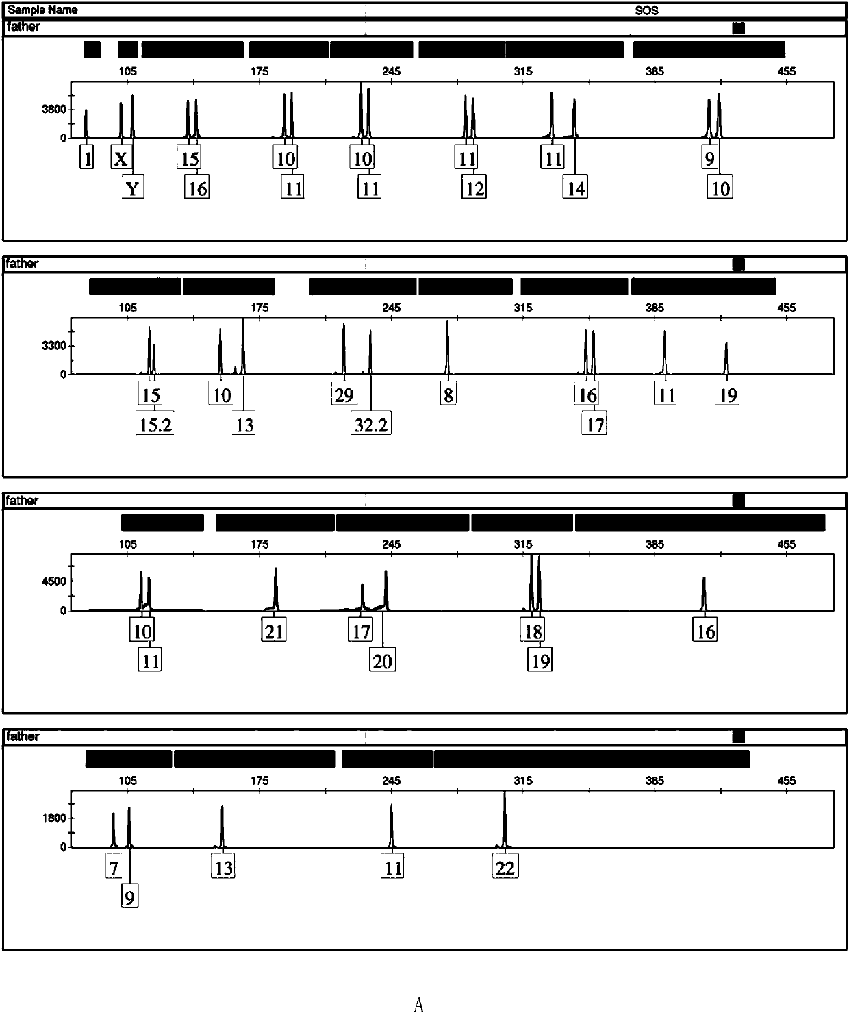 Five-color fluorescence STR parting method for synchronously detecting 23 gene loci and special kit of method