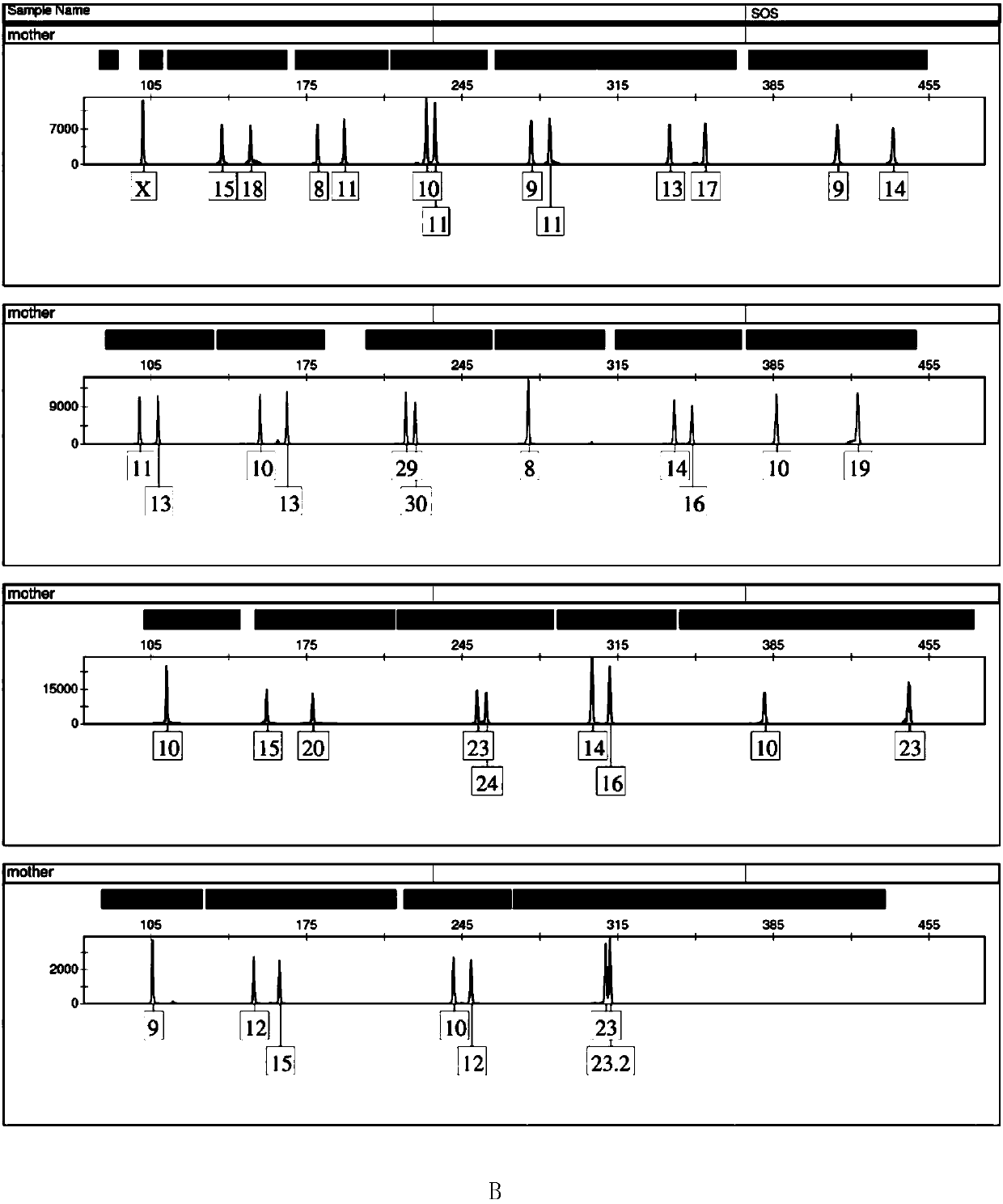 Five-color fluorescence STR parting method for synchronously detecting 23 gene loci and special kit of method