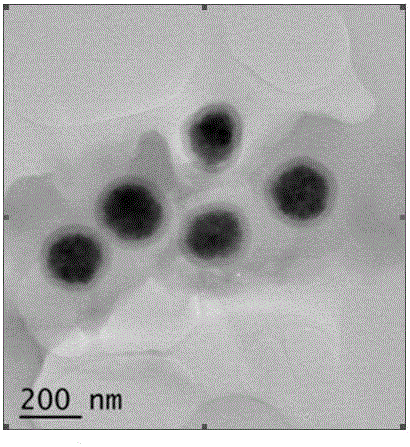 Preparation method and application of benzophenanthridine alkaloid molecular imprinting magnetic microspheres