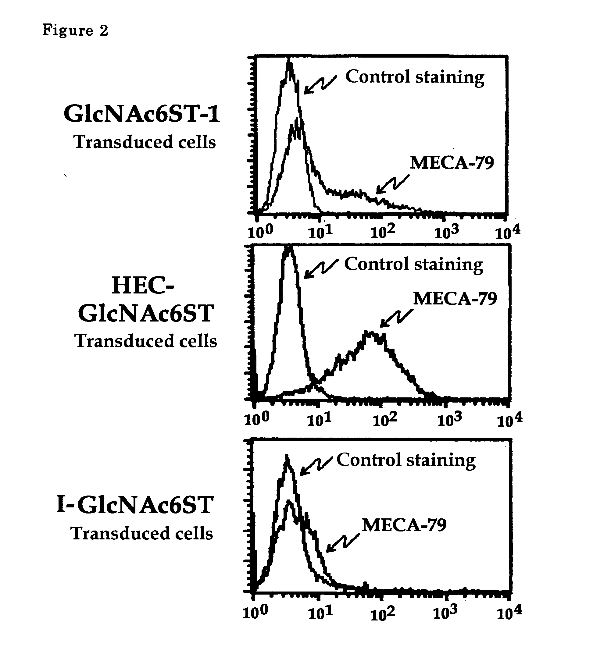 Method of examining colon cancer and colon adenoma