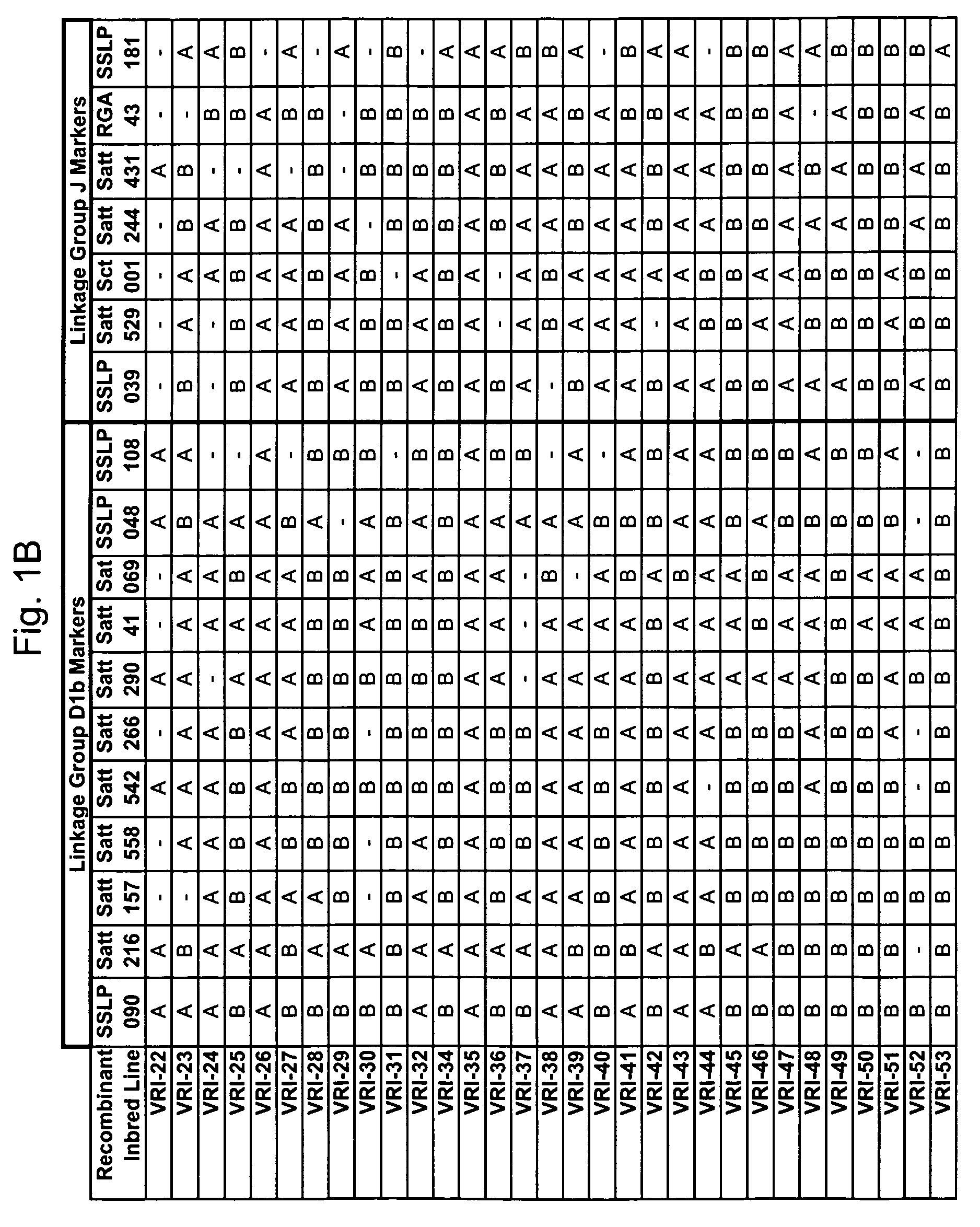 Marker mapping and resistance gene associations in soybean