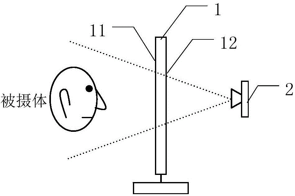 Display device and video communication terminal