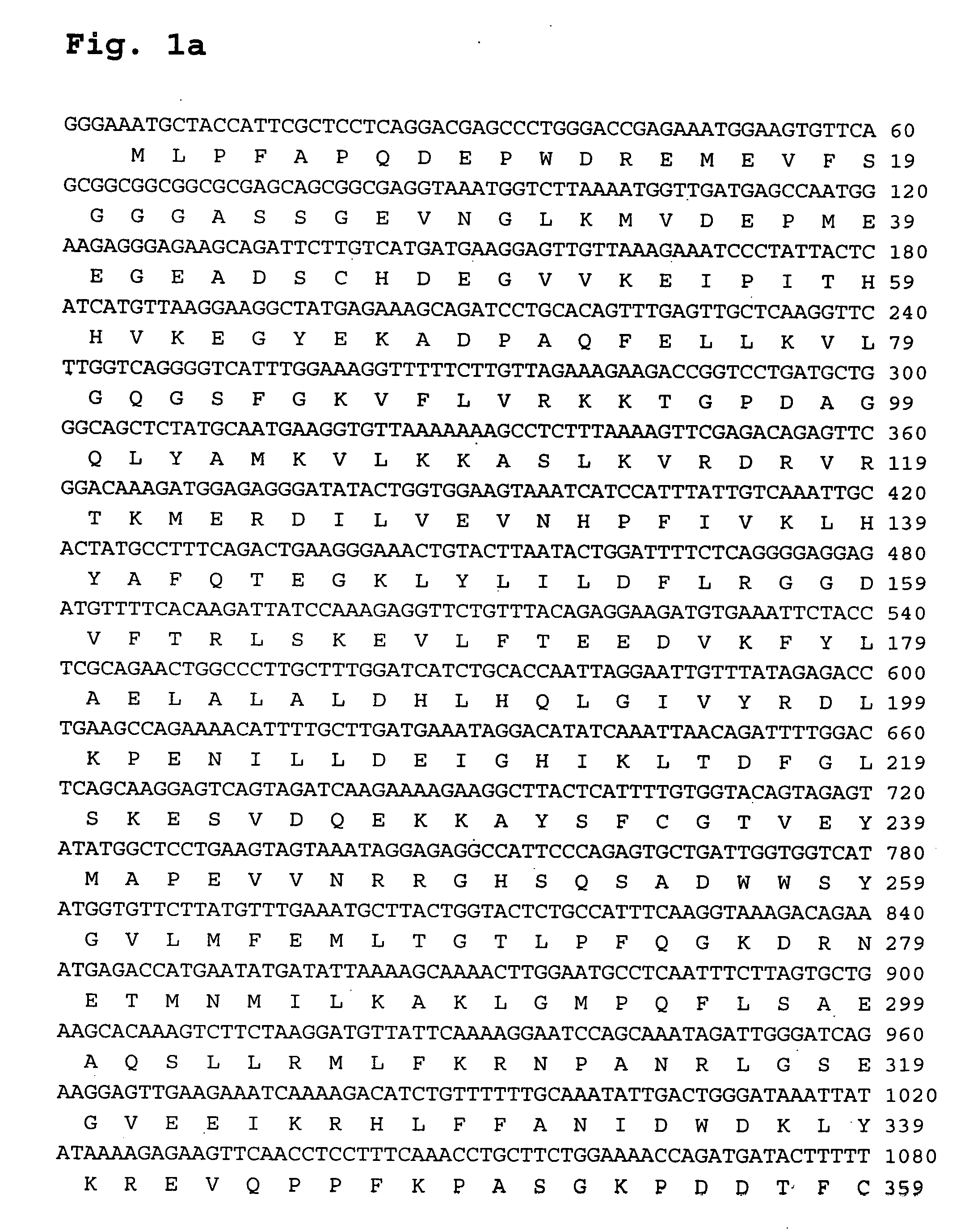 Human RPS6KA6-related gene variant associated with lung cancers