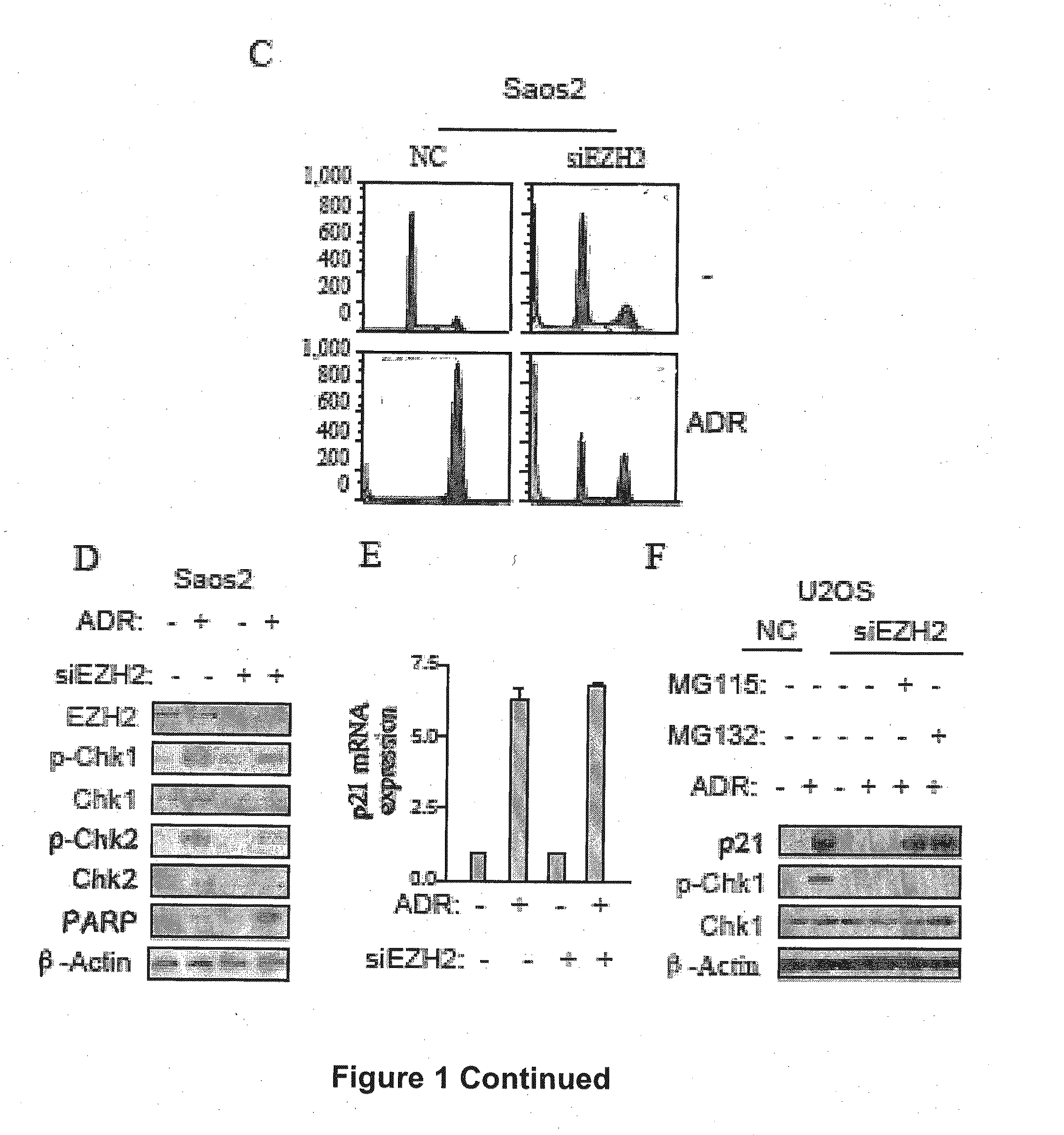 Combination treatment of cancer