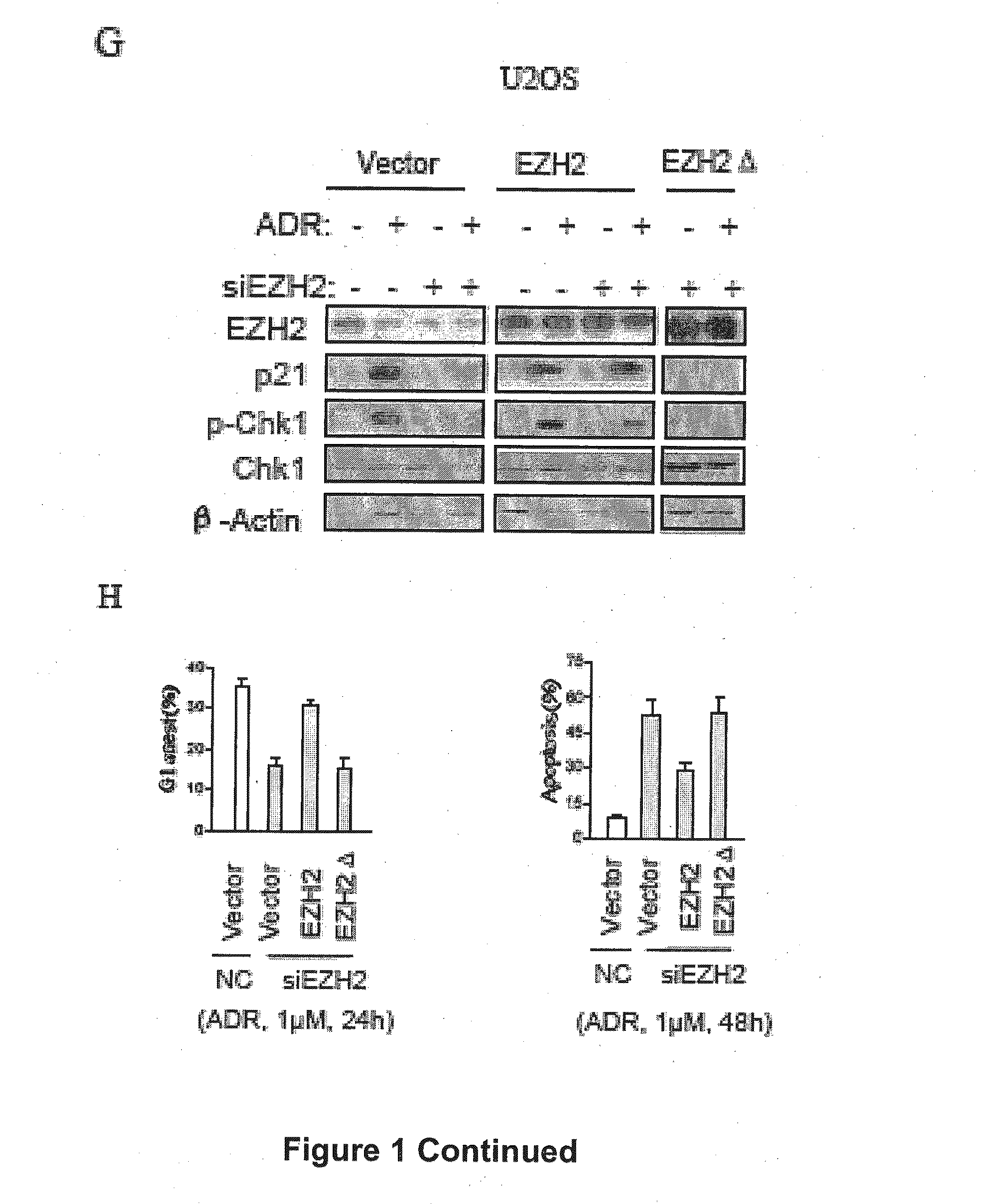 Combination treatment of cancer