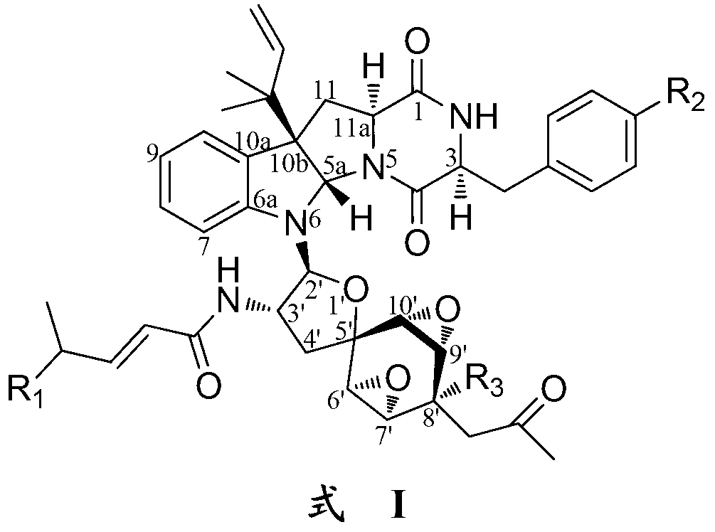 Indoline diketopiperazine spiro-compounds as well as preparation method and use thereof