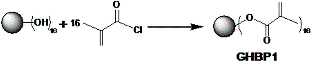 Hyperbranched monomer-modified oral repair material, and modification method and application thereof