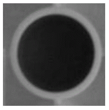 Sulfide ion detection kit based on bovine serum albumin-nano platinum/bismuth