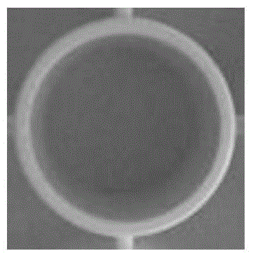 Sulfide ion detection kit based on bovine serum albumin-nano platinum/bismuth