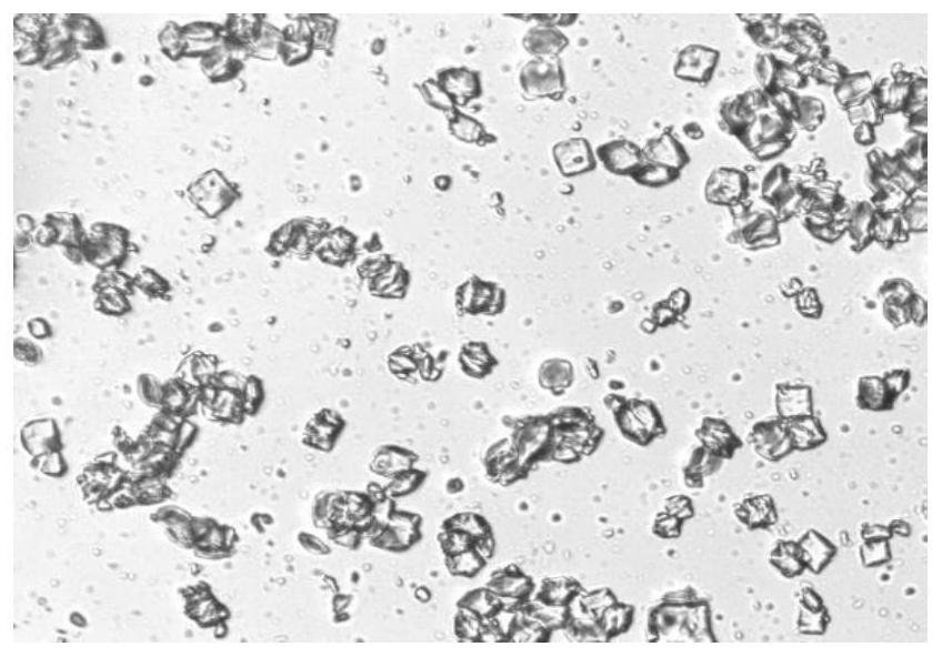 Method for regulating and controlling crystal form of lysozyme by using ionic liquid