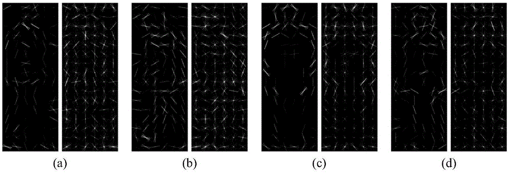 Real-time online multi-target tracking method adopting temporal dynamic appearance model