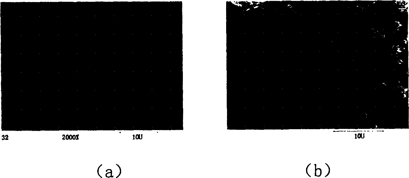 Method and apparatus for preparing titanium dioxide by oxidation reactor