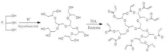 A kind of low viscosity (branched) polyether acrylate and its preparation method and application