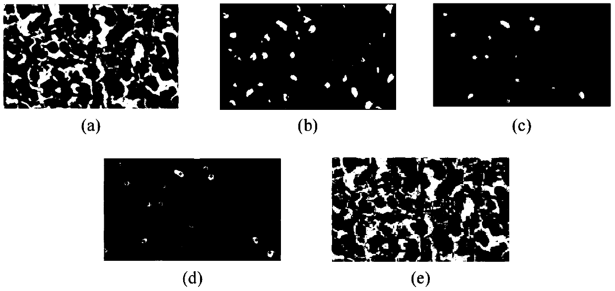 A method for rapid location of cell nuclei in pathological images