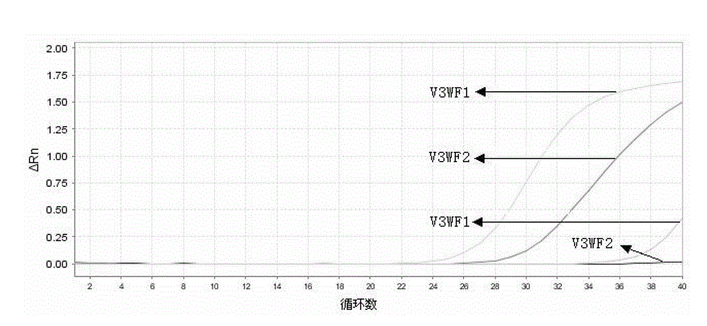 ARMS fluorescent quantitative PCR-based gene mutation kit and method thereof