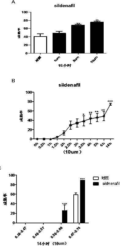 Application of phosphodiesterase 5 activity inhibitor as ripening agent for inducing maturation of zebrafish oocyte