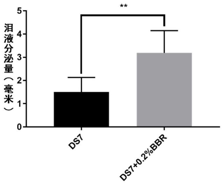 Use of berberine in treatment or prevention of non-infectious ocular surface inflammation