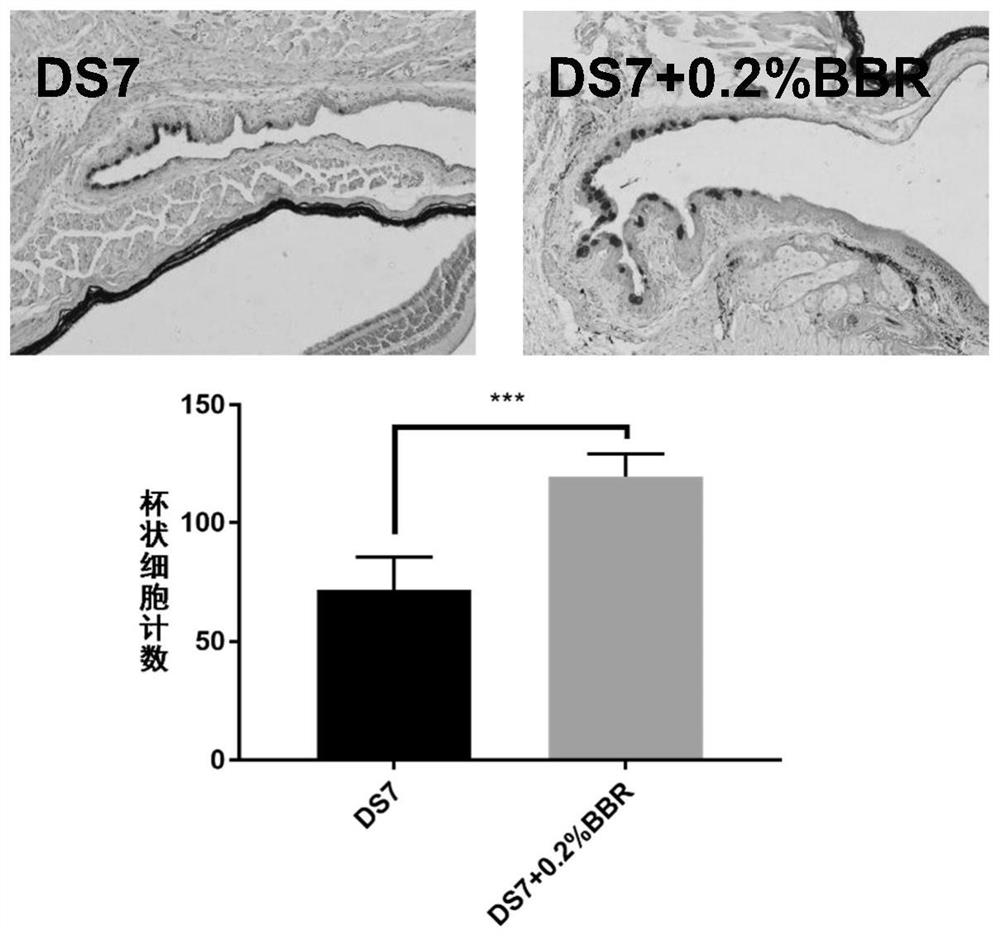 Use of berberine in treatment or prevention of non-infectious ocular surface inflammation