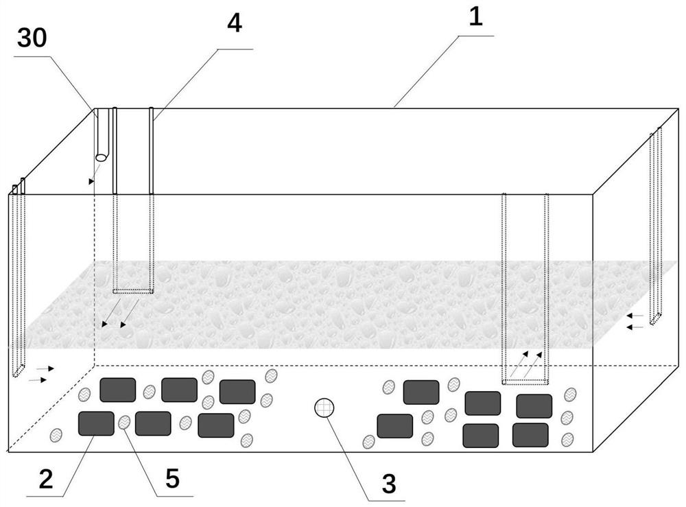 Ecological economical abalone culture system