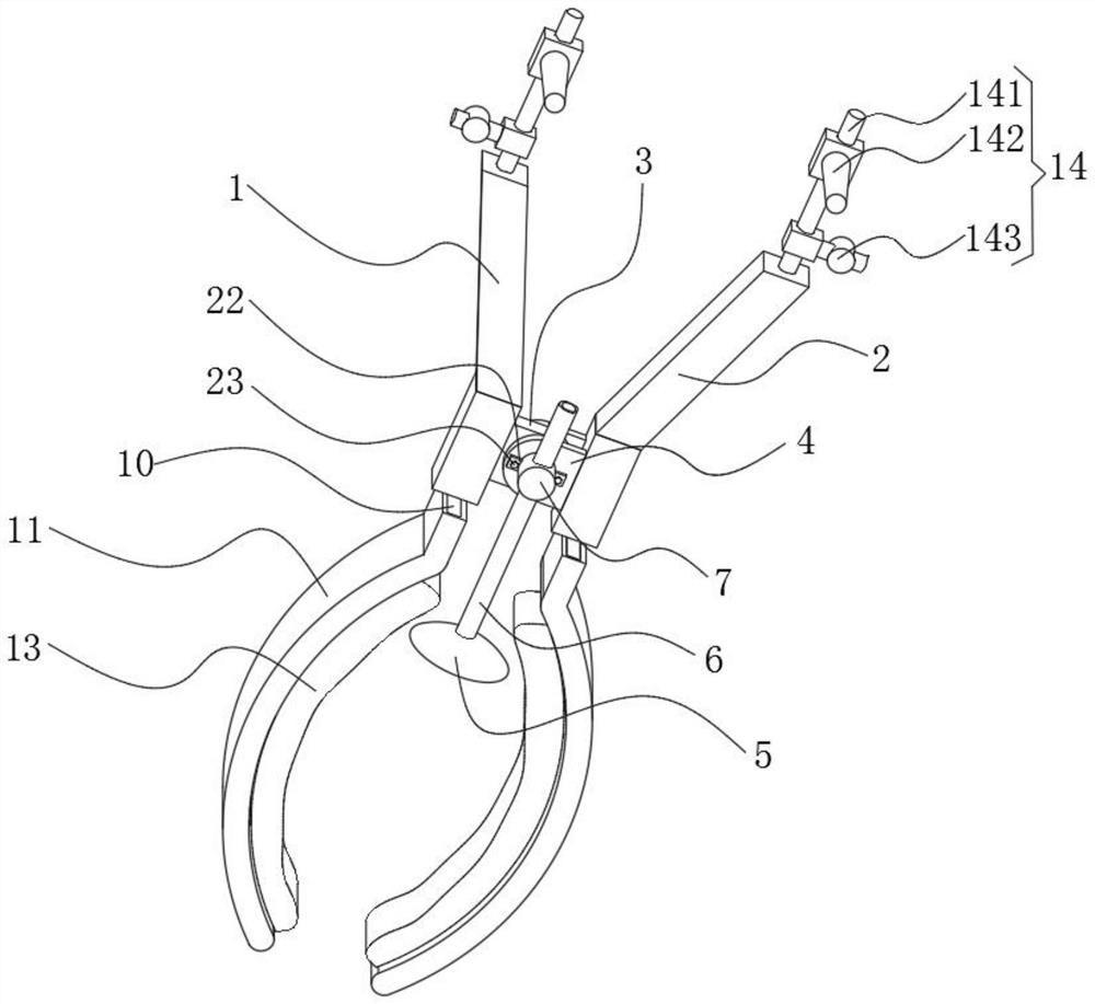 Gynecological obstetric forceps