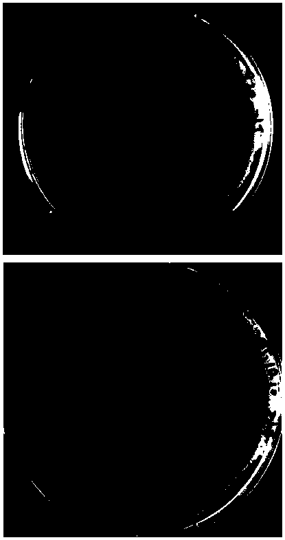 Gene for expressing antibacterial peptide, antibacterial peptide and application