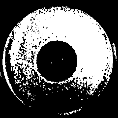 Screening method of fusarium antagonistic bacteria