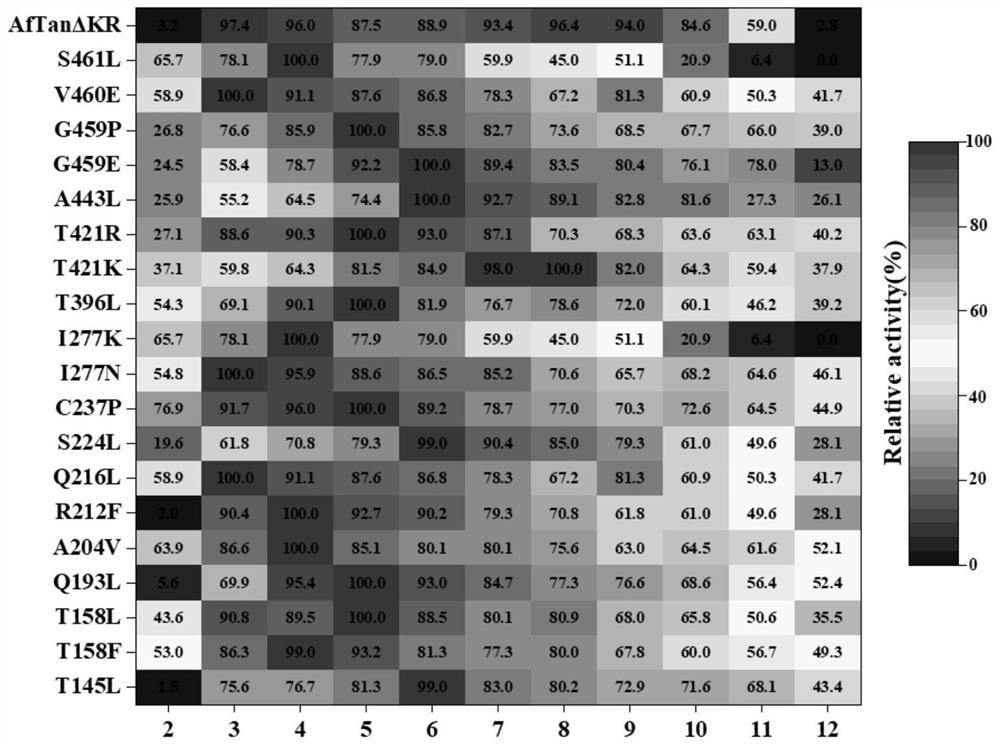 Tannase AfTan2.0 mutant and application thereof