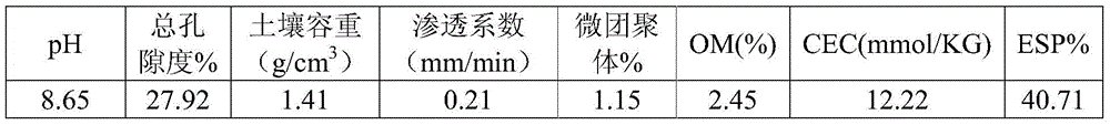 Acidic multifunctional soil improver and preparation method thereof