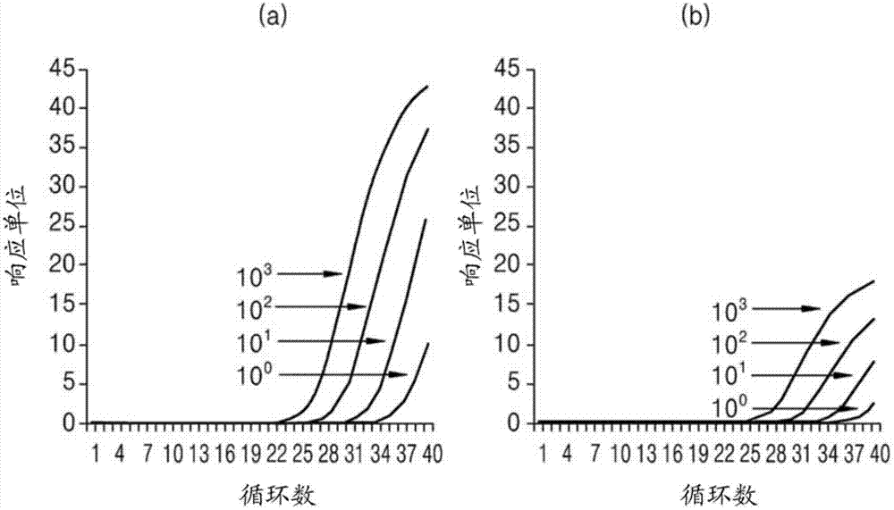 Composition and kit for detection and analysis of strains of clostridium difficile and method of detecting strains of clostridium difficile by using the same