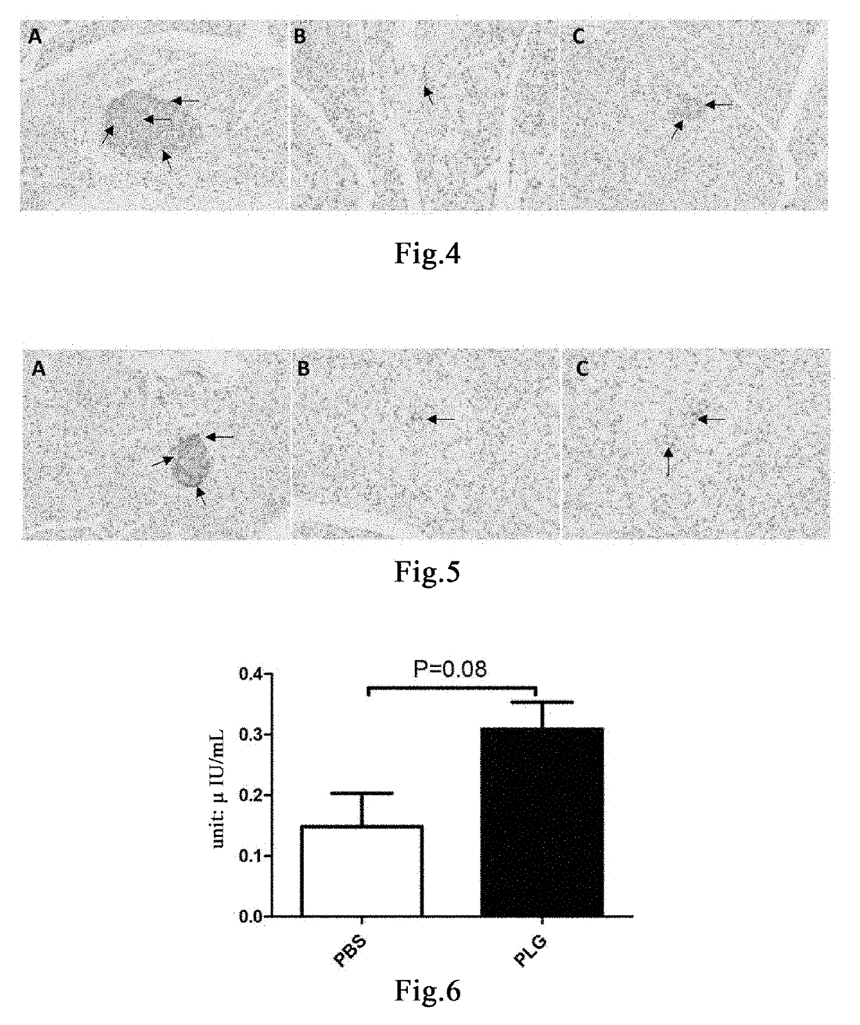 Method for promoting insulin secretion