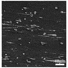 A kind of high yield ratio deformed magnesium alloy and its preparation method