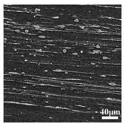 A kind of high yield ratio deformed magnesium alloy and its preparation method