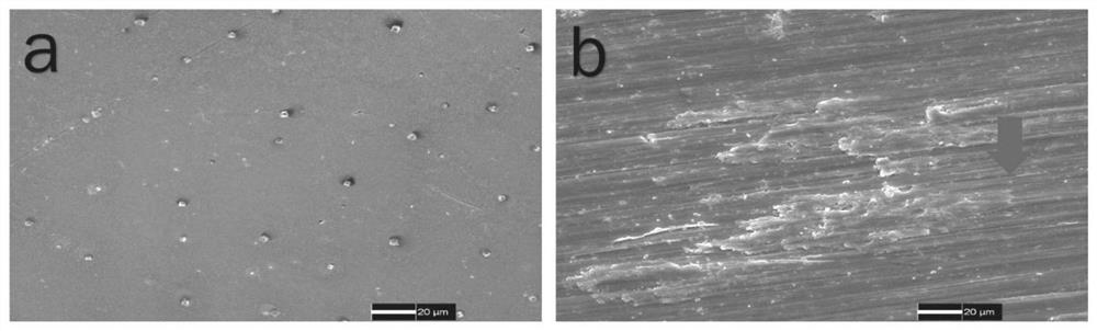 Artificial joint prosthesis with anti-infection function