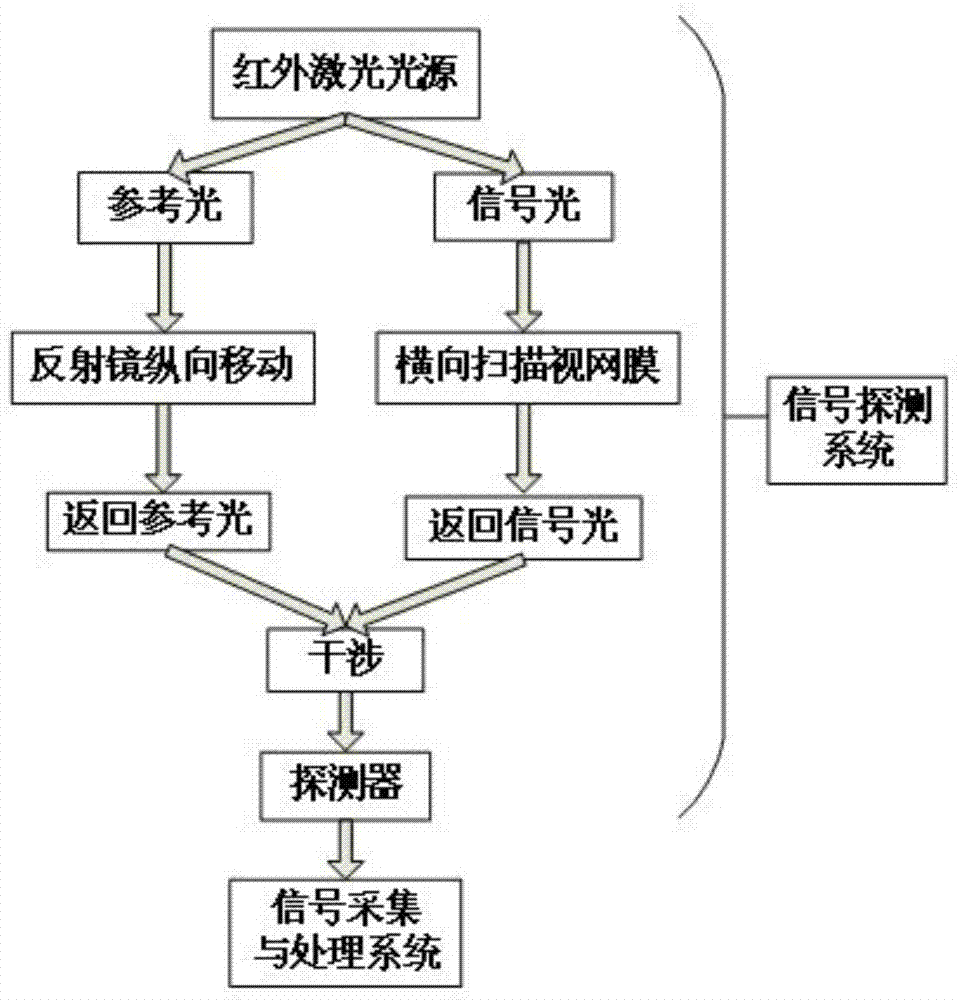 Retina optical coherence chromatography detection-display system