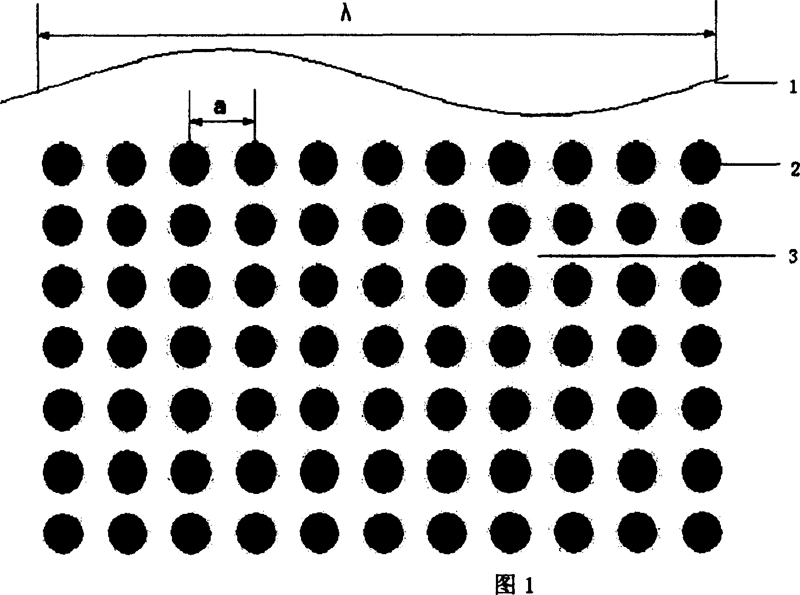 Two-dimensional photon crystal polarization beam dividing device