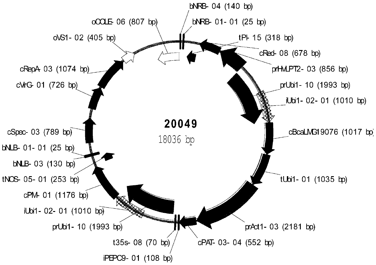 Method for improving drought enduring capacity of plants