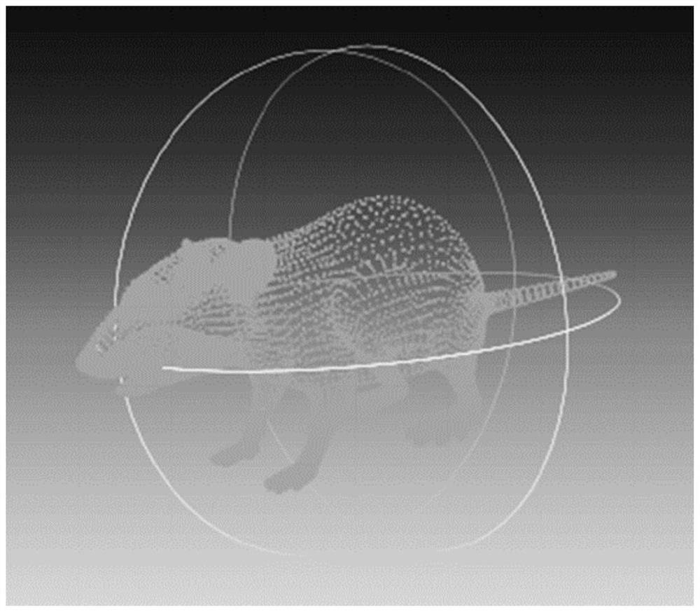 Mouse motion reconstruction method and device based on multi-view camera