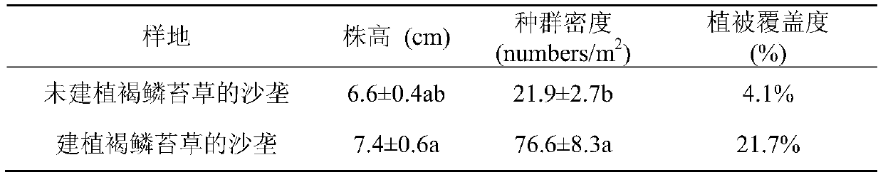 Method for achieving sand stabilization of high-cold region through carex brunnescens