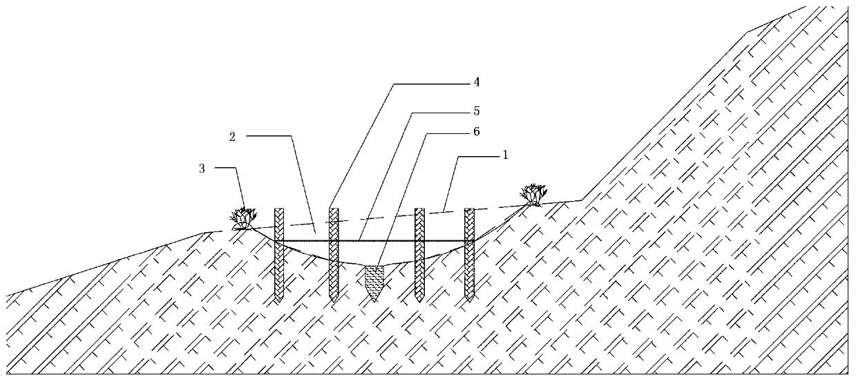 Slope surface dissected valley greening scour preventing system and construction method thereof