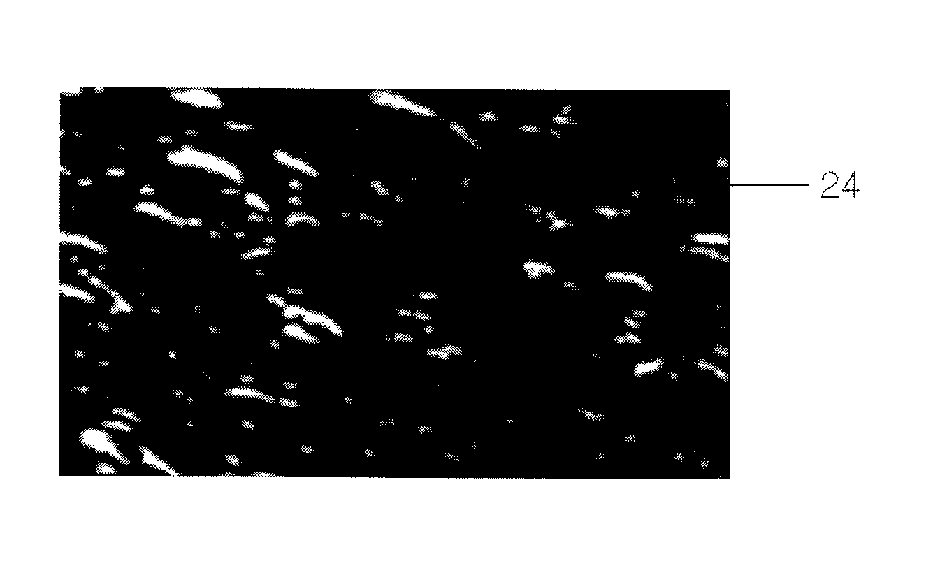 Toner and process of preparing the same