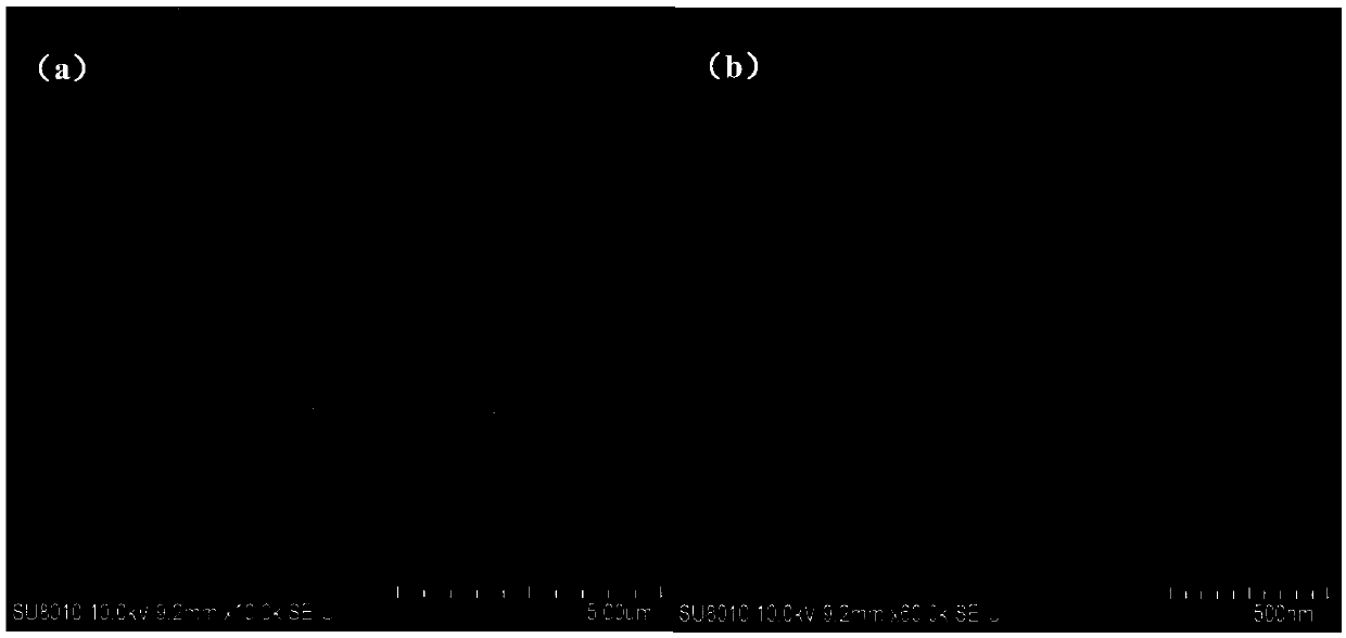 Dual-scale pore structure nanocrystalline cobalt titanate powder and preparation method thereof